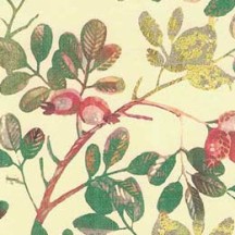 Colorful Berries and Leaves Christmas Paper ~ Kartos Italy